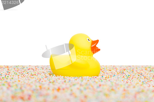 Image of Rubber duck isolated