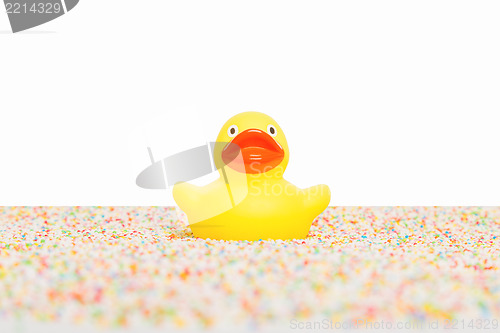 Image of Rubber duck isolated