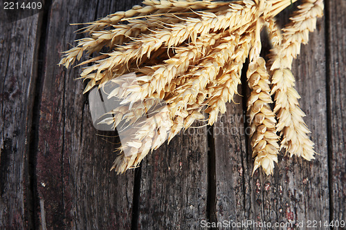 Image of Bunch of golden ears of wheat on wood