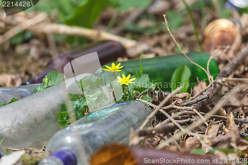 Image of Dump in the woods