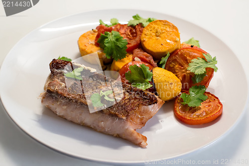 Image of Red Snapper Filet