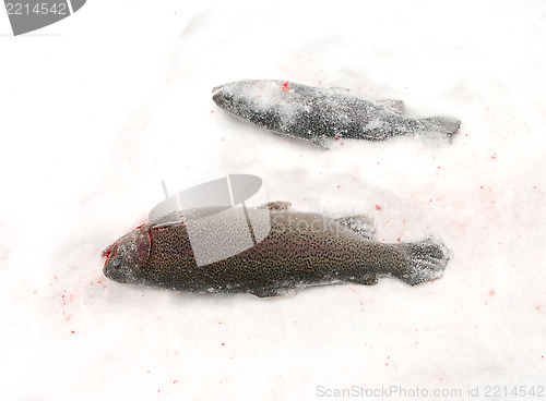 Image of Winter fishing.