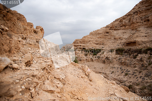 Image of Judean desert