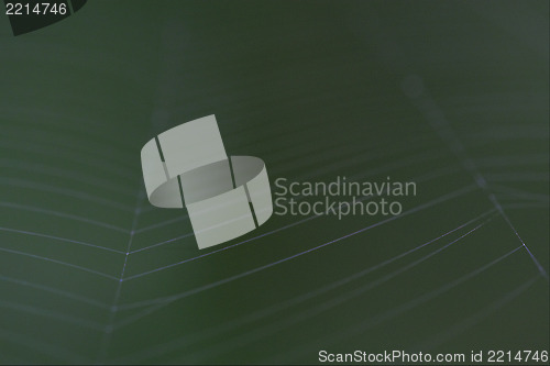 Image of abstract white web background  