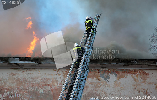 Image of Firefighters extinguish fire from a high ladder