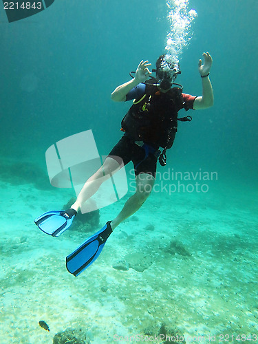 Image of ok diver