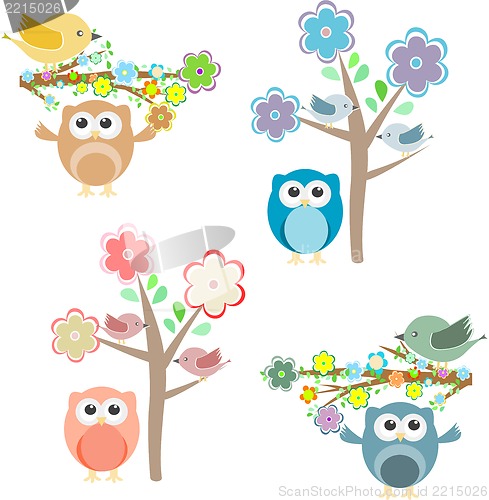 Image of Blooming tree and branches with sitting owls and birds