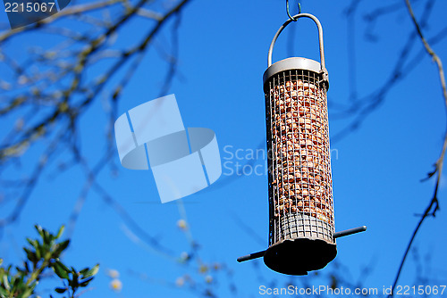 Image of Bird feeder full of peanuts hanging against a blue sky
