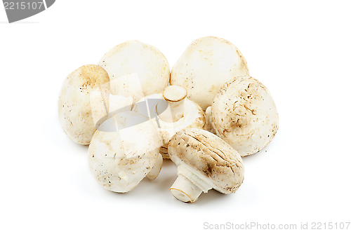 Image of Mushrooms