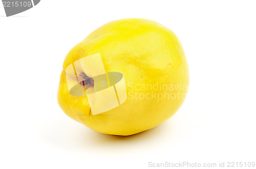 Image of Quince