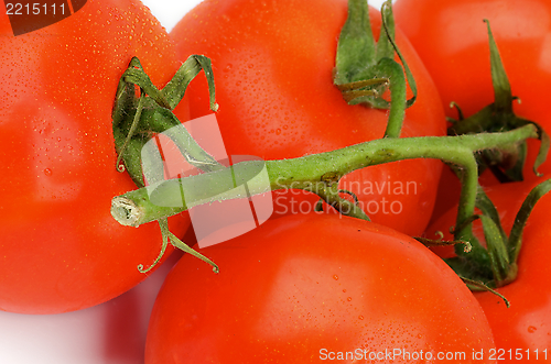 Image of Tomatoes with Stems