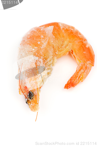 Image of Frozen Shrimp