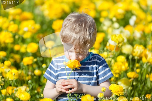 Image of boy at flower field