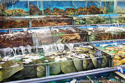 Image of Seafood market in Hong Kong