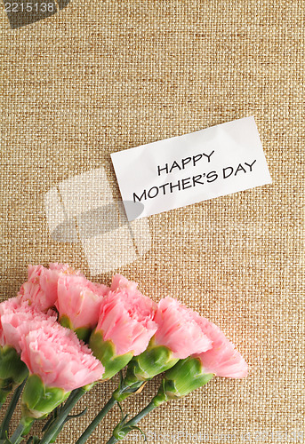 Image of Pink carnations flower for Mother's day