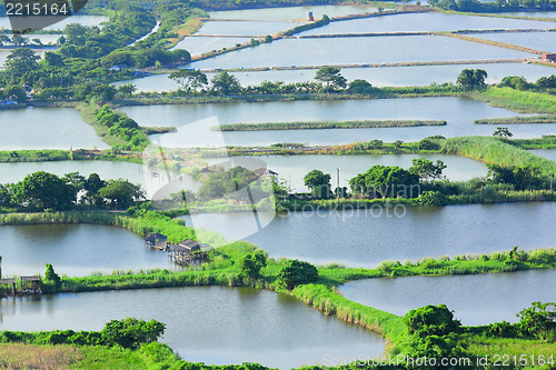 Image of Fish hatchery pond