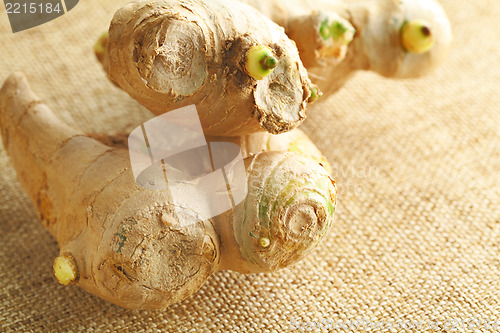 Image of ginger close up