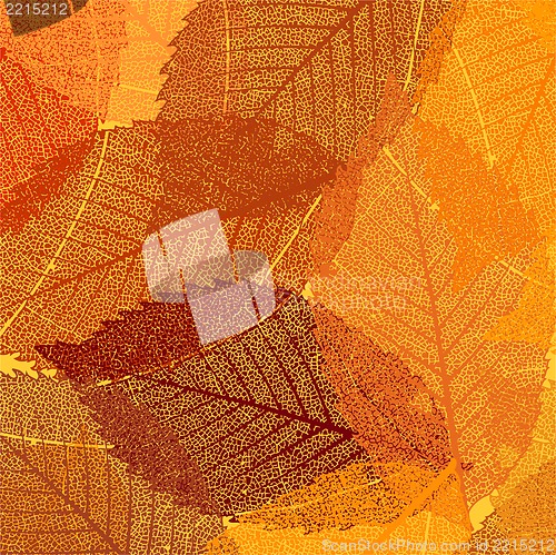 Image of Dry autumn leaves template. EPS 8