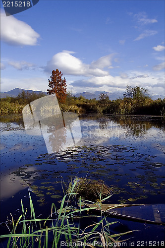 Image of boat fall down autumn 