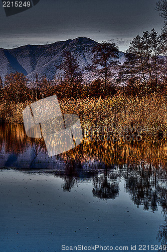 Image of abstract  autumn lake and marsh