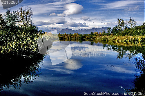 Image of marsh moor marshy 