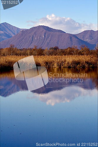 Image of moor marshy  in the north of italy