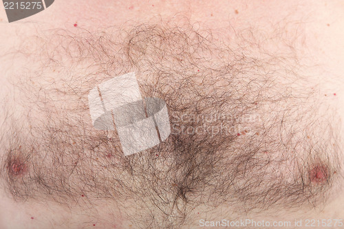 Image of Mans hairy chest with nipples