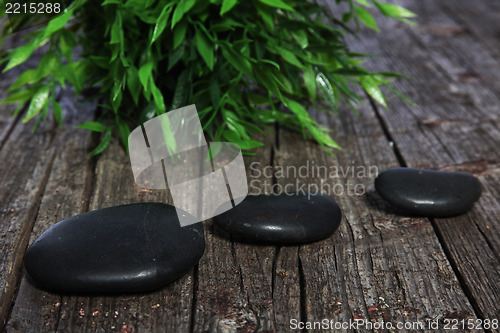Image of Three black spa or prayer stones and herbs