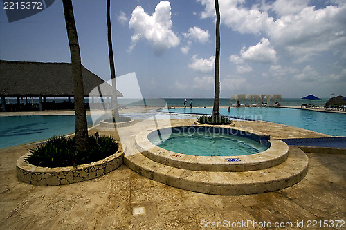 Image of   dominicana pool tree palm  peace 