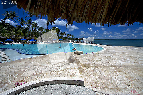 Image of republica dominicana pool tree palm  peace marble