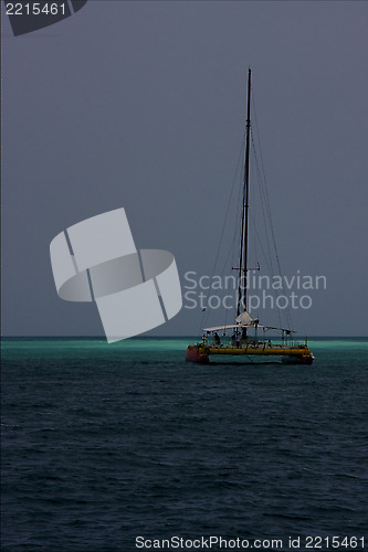 Image of  ocean water catamaran   