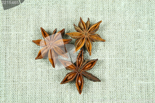 Image of Aniseed on flax