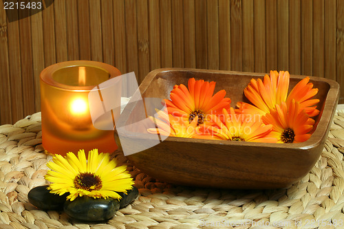 Image of Marigold in bowl