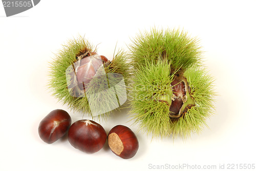 Image of Chestnuts isolated