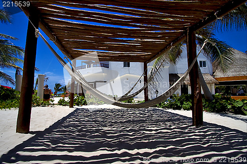 Image of  mexico hammock tree palm  peace