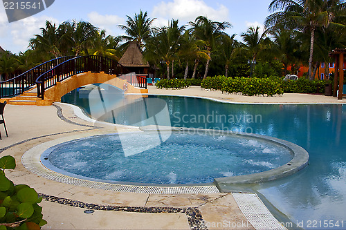 Image of mexico pool tree palm  