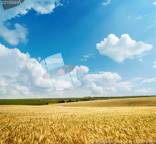Image of golden harvest under cloudy sky