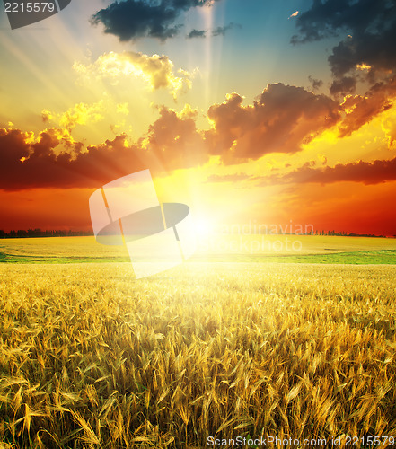 Image of good red sunset over golden field