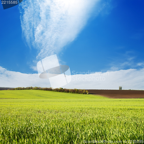 Image of field with green grass under cloudy sky