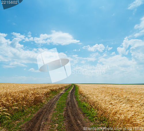 Image of rural road in golden agricultural field under cloudy sky