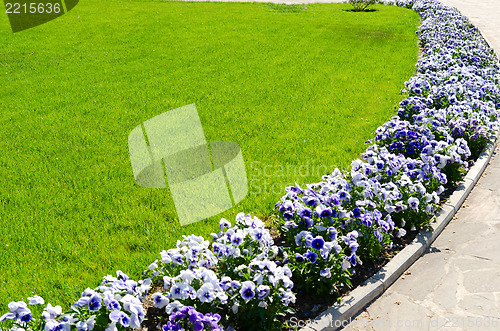 Image of park design with flowers