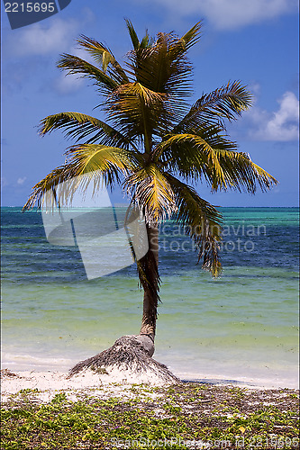 Image of caraibbien blue lagoon sian kaan  