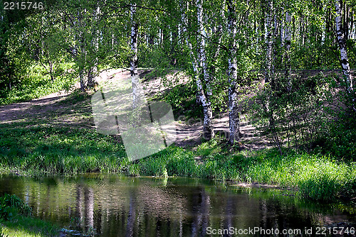 Image of On the shore of the pond.