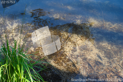 Image of Bottom of the lake.