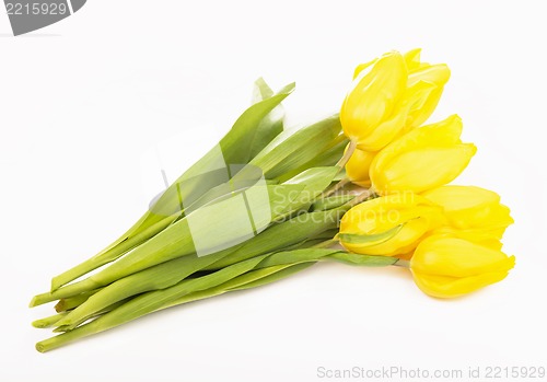 Image of Yellow tulips isolated