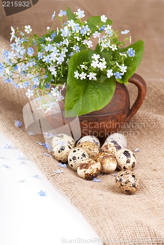 Image of Nest with quail eggs