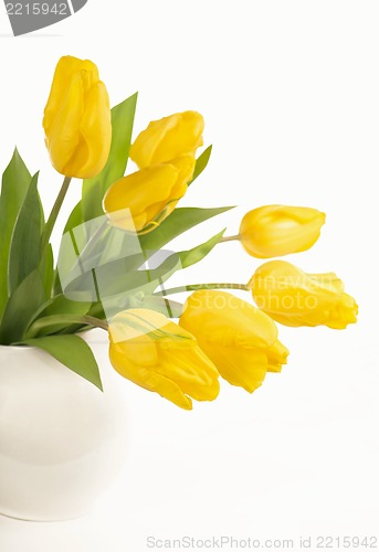 Image of Yellow tulips in a jug