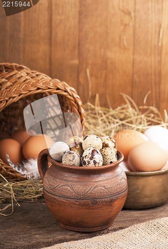 Image of Nest with quail eggs