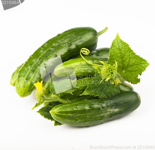 Image of Fresh cucumbers