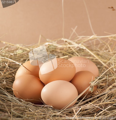 Image of brown eggs in a nest